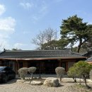 다금농장 | 영주 순흥 소수서원 백숙 맛집 다금식당 #내돈내산 후기