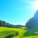 아시아드 골프아카데미 이미지