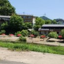 산과들에 펜션 네이버블로그