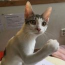 더디젤 | 운동이신가요? 네 제발요… 삼전동 내돈내산 헬스장&amp;PT 후기 - 더디젤PT&amp;헬스 삼전점 자윤쌤 수업 후기