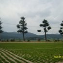 해리초등학교 이미지