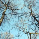 고려궁성곽길 이미지