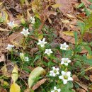 용담농장 이미지