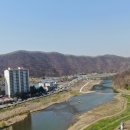 경안천로 Daum카페