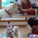 웃으면복이와요 이미지