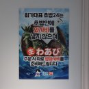 회가대표초밥24시