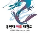 용인대 한빛 태권도장 이미지