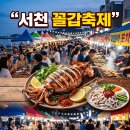 신성리 갈대받 진입도로 | 서천 꼴갑축제 2026 기본정보 주차 먹거리