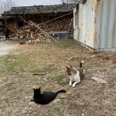 지리산순이네흙집민박 네이버블로그