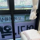 모아미왁싱 | 구월동 눈썹왁싱 후 브로우왁씽까지 자연스러운 눈썹에 만족한 모아미왁싱 후기