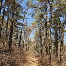 은지초등학교 이미지