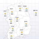 국지15호 이미지