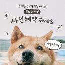 댕댕CLUB 이미지