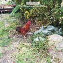 흥정계곡 공중화장실 이미지