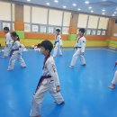 신제일 태권도 이미지