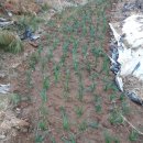 용균농장 이미지