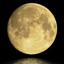 킹콩약국 이미지