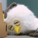 송파GF의원 이미지