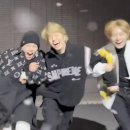 스타빌