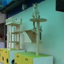 금마면행정복지센터 이미지