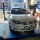 합성견인 이미지