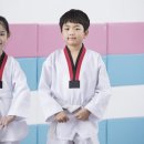 한국체대 MTA 태권도 이미지