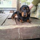 대전대흥초등학교 이미지