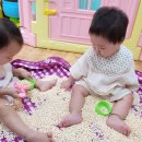 딩동댕어린이집 이미지