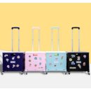 안다로미 이미지