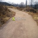 신구리농장 Daum카페