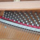 하이 음악학원 이미지