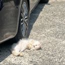 약산낚시터 이미지