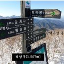 설천면117 Daum카페