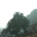 구만리 어룡동 이미지