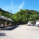 김천 국립김천치유의숲 아름다운숲길 - 단지봉(1327m) - 수도산(1317m) 이미지