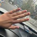 인동경노당 | 24년을 맞이하는 11월 먹는 일상••