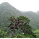 쌍둥이네 농장 이미지