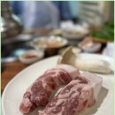 탐라우돈 이미지