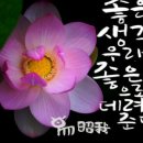방과후지도사반 네이버블로그
