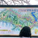 단성생활체육공원 이미지