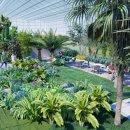 치유농업관 이미지