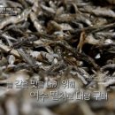 태백칼국수 이미지