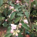 유원농장 이미지