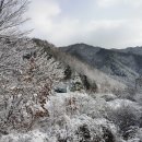 횡성대성병원 이미지