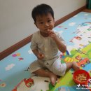 붕붕 소프트 이미지