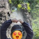 황골길 | 여러 곳 비교해보고 마음이 갔던 저렴한요양원 솔직 후기