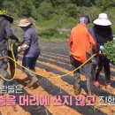 서경원농장 네이버블로그