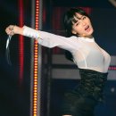레인보우독