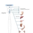 운동케어센터 이미지