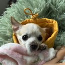 홍콩 3박4일 모녀여행 1일차_바쁘다 바뻐